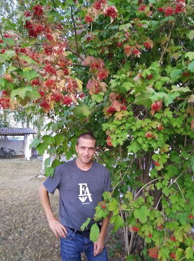 ,   Sergey, 33 ,   ,   