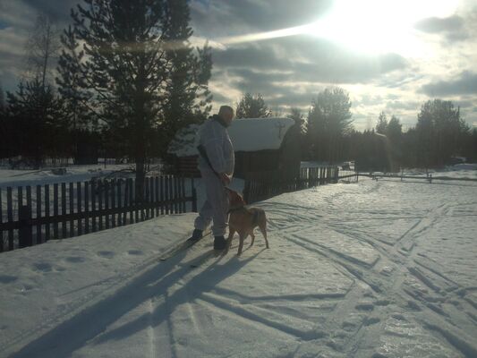  ,   , 52 ,   ,   , c , 