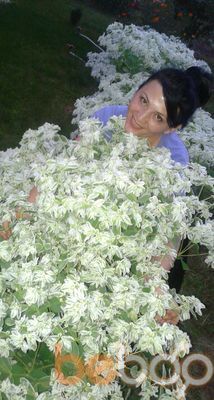  ,   Galconok, 36 ,   