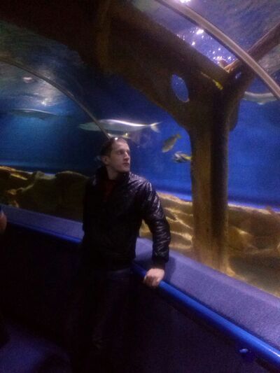  ,   Denis, 33 ,   , c 