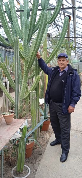  ,   Valeriu, 57 ,   ,   