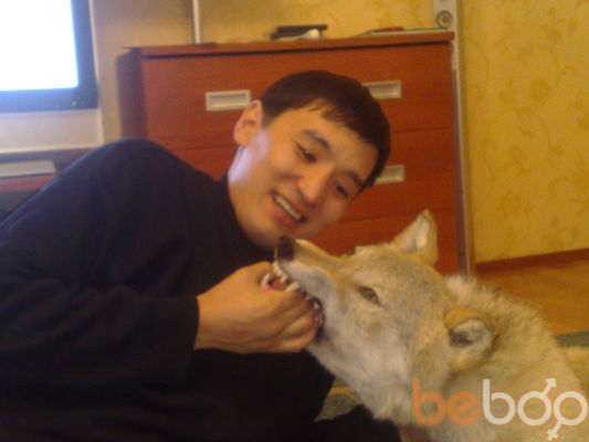  ,   Timur, 42 ,     , c , 