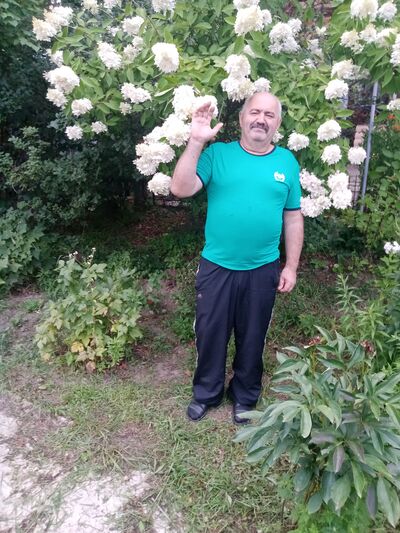  ,   , 66 ,   ,   , c 