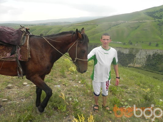 ���������� ����, ���� ������� �������, 38 ���, ������������ ��� ����� � ���������, c�������� ���������