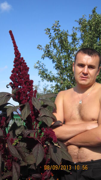  ,   , 46 ,   ,   , c , 