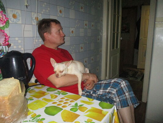 ,   , 51 ,  