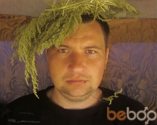  ,   , 44 ,   