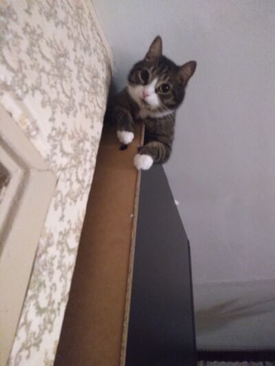  -,   , 33 ,   ,   