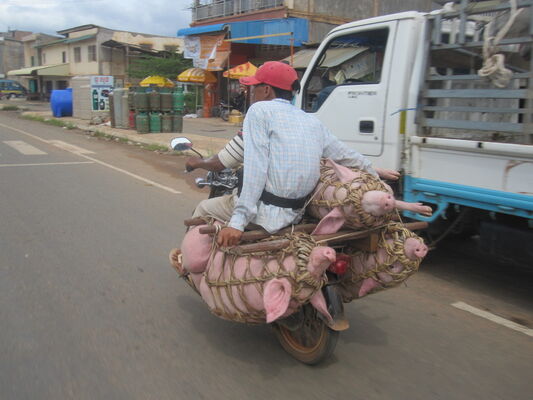  ,   , 55 ,   ,   , c 