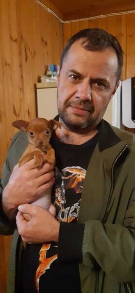  ,   , 51 ,   ,   