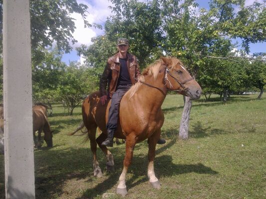  ,   Rrrr, 78 ,   ,   , c 