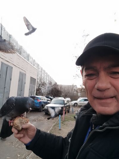  ,   , 55 ,   ,   