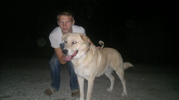  ,   Maksim, 29 ,   ,   , c 