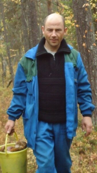  ,   , 51 ,   