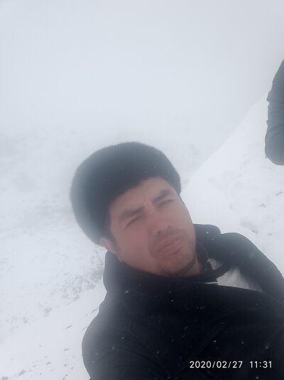  ,   Ulmasshax, 34 ,   ,   , c 