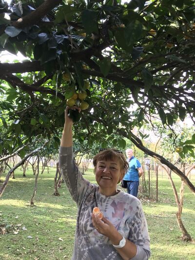  ,   , 65 ,   c , 