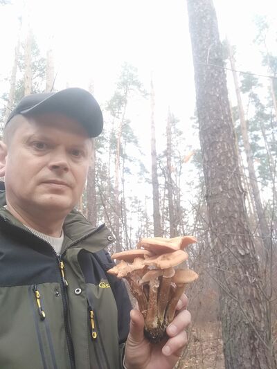  ,   , 49 ,   