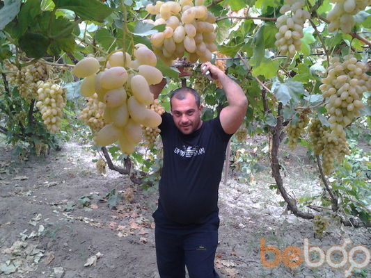  ,   Ponch, 47 ,   