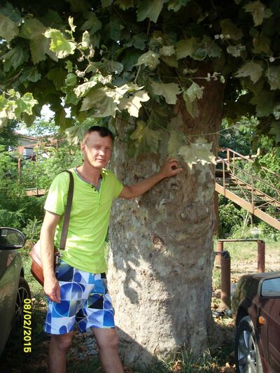 ���������� ���������, ���� ������� �����, 53 ����, ������������ ��� ������, ����� � ���������, c�������� ���������, ���������