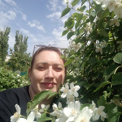  -,   , 41 ,     , c , 