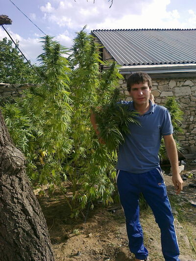  ,   Maga, 39 ,   ,   , c 