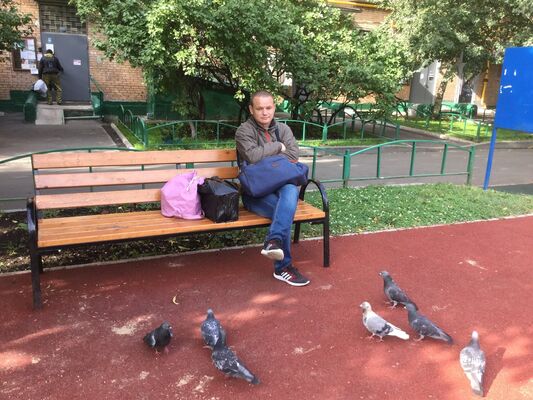  ,   Al, 40 ,   