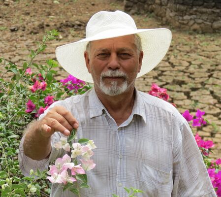  Grimma,   IHOR, 79 ,   ,   , c 