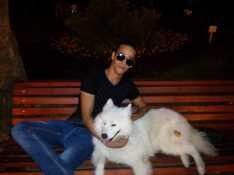 ���������� ���������, ���� ������� ������, 31 ���, ������������ ��� ������, ����� � ���������, c�������� ���������