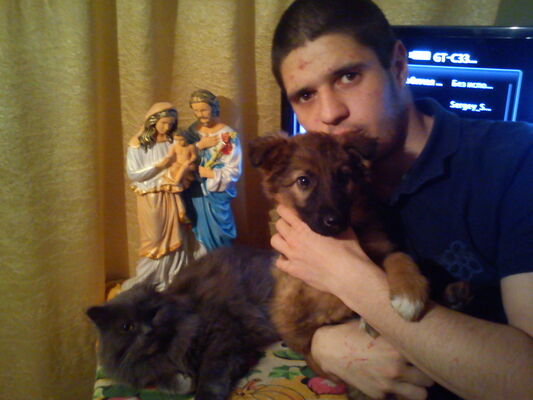  -,    , 34 ,   ,   , c 