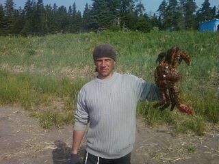 ���������� ����-���������, ���� ������� ����, 45 ���, ������������ ��� ������, ����� � ���������, c�������� ���������