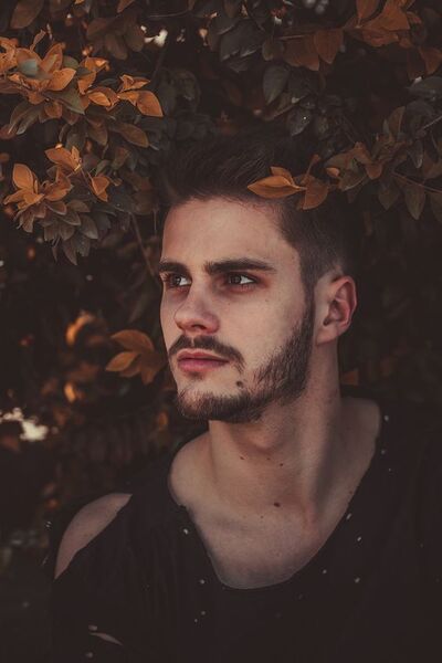  ,   Reda, 21 ,   ,   , c , 