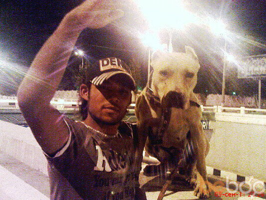  ,   MetiS, 39 ,   ,   