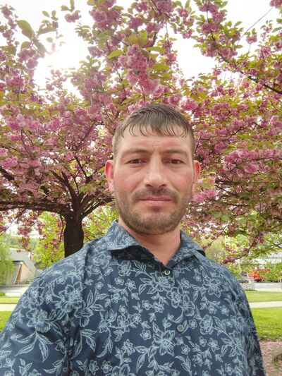  Praha,   Dmytro, 38 ,   ,   