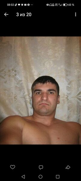  -,   Alexander, 44 ,   ,   