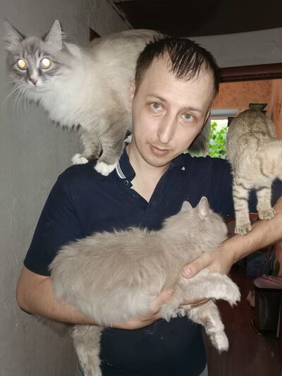  ,   , 37 ,   ,   