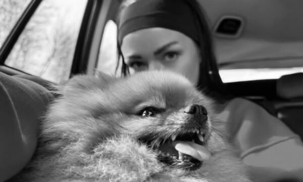  ,   Lina, 38 ,   ,   , 