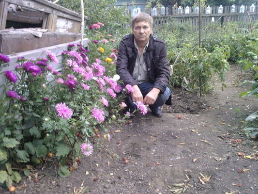  ,   , 64 ,  