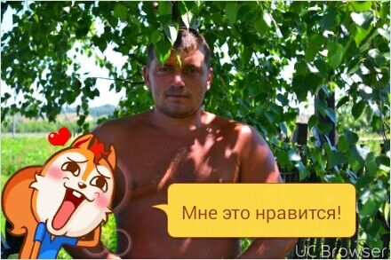 ���������� ������, ���� ������� ���������, 46 ���, ������������ ��� ������, ����� � ���������, c�������� ���������