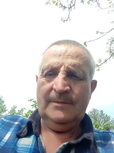  ,   , 66 ,     , 