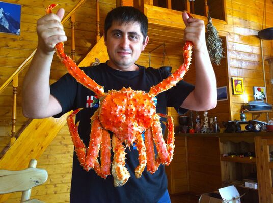  ,   Dima, 43 ,   ,   
