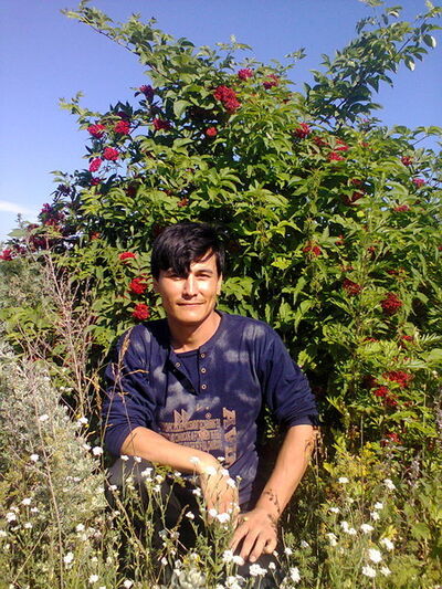  ,   Kallibek, 39 ,   