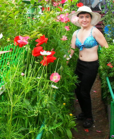  ,   , 46 ,   c , 