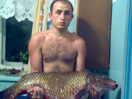  ,   Vladimir, 44 ,   