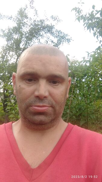  -,   , 42 ,   ,   