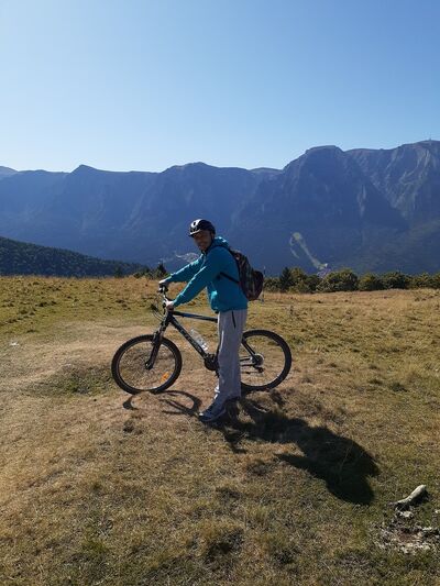  ,   Serjiu, 38 ,   ,   , c 