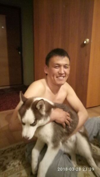  ,   DIMA, 38 ,   ,   , c 