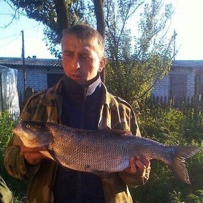 ,   , 53 ,   