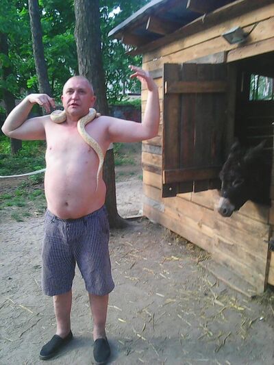  ,   , 54 ,   ,   , c 