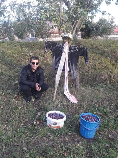  --,   Pogos, 36 ,   ,   , c , 