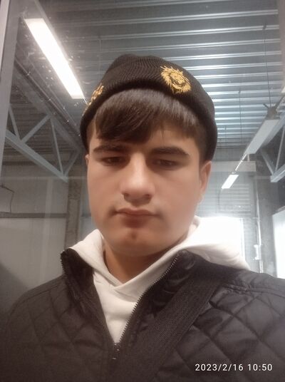 ,   Saddam, 20 ,   ,   , c , 